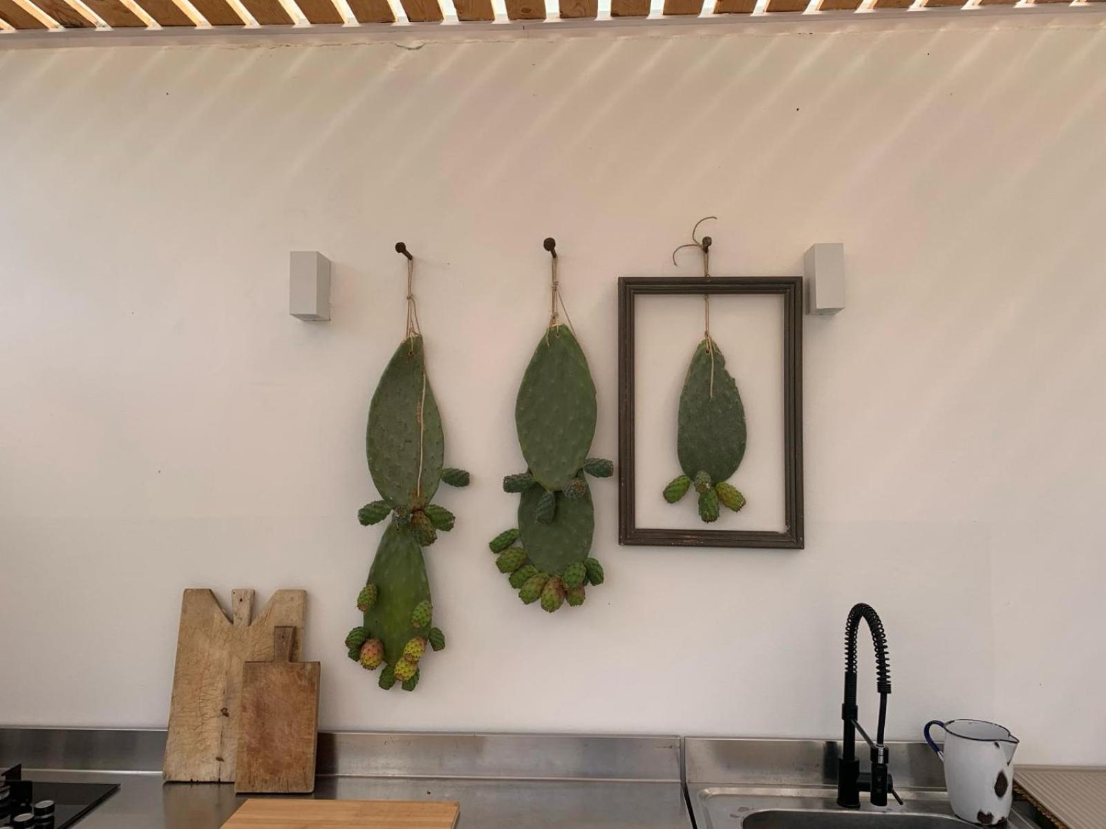 Villa Santareddi Castelluzzo Εξωτερικό φωτογραφία