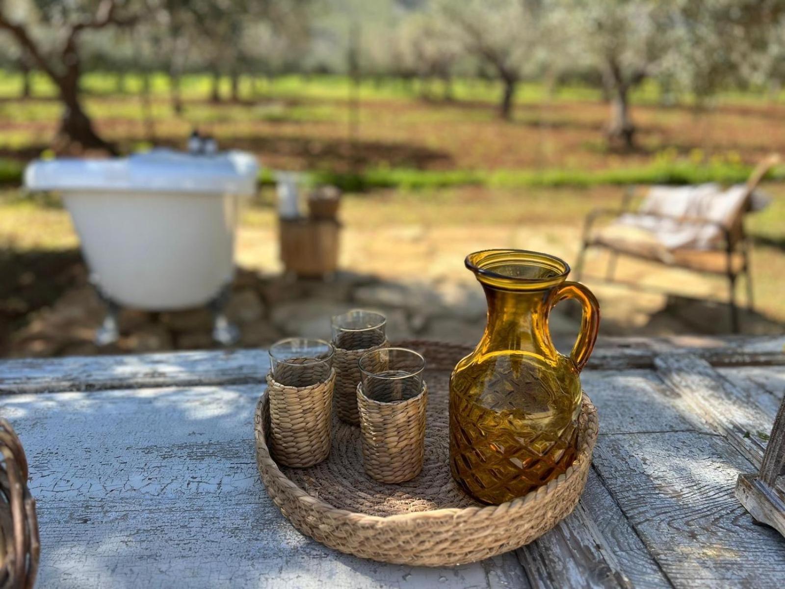 Villa Santareddi Castelluzzo Εξωτερικό φωτογραφία